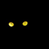 臆病な猫セイラム 4  The Scared Cat, Salem –part 4- last